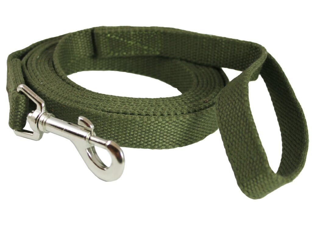 Types of Leashes Recommended for Cane Corsos 