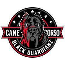 Top Cane Corso Forums for Owners 