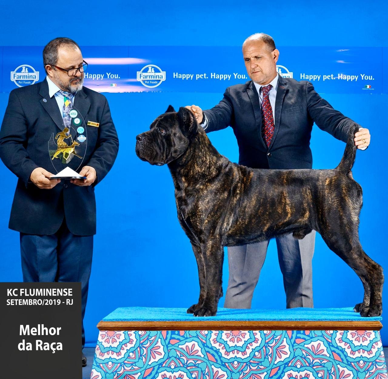 Top Cane Corso Competitions